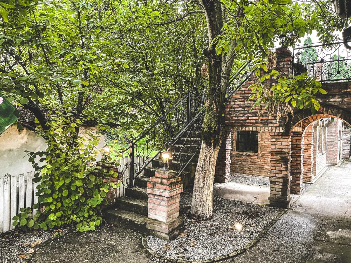Wood Mood Apartman Tiganjica Stajicevo Eksteriør bilde